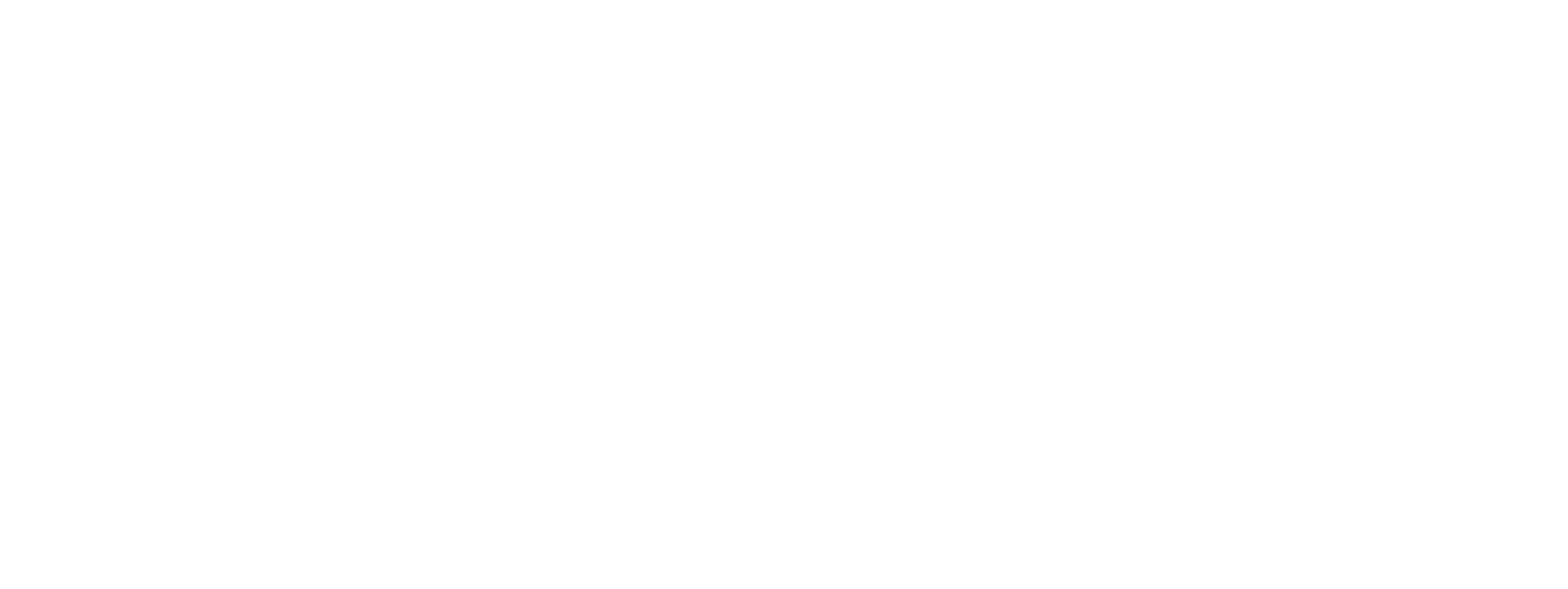 tZAUNBRECHER Solutions Group